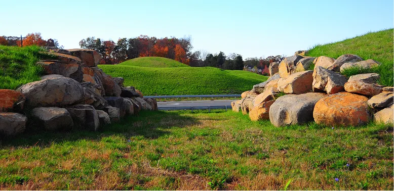 Green grassy landscape with large rocks forming a pathway and autumn trees in the background.