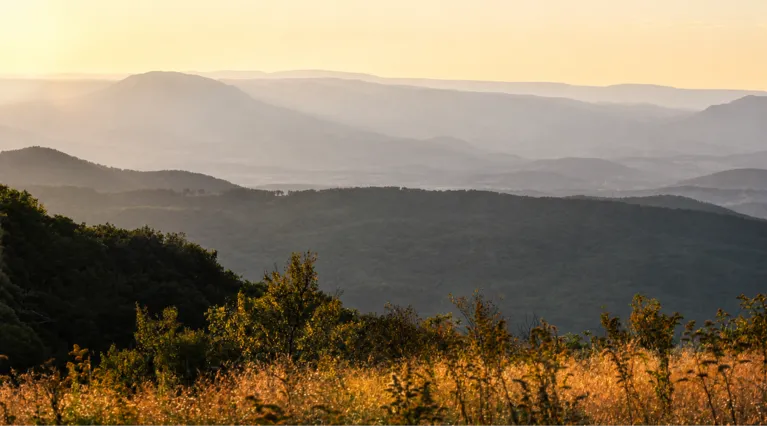 Sunset view of layered mountain ranges with golden grass and green trees in foreground.